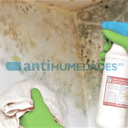 Consilex Muffa Cleaner de Azichem para limpiar moho y las manchas de humedad