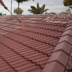 Paint New Roof pintura impermeabilizante para tejados de Idroless