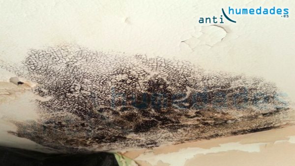 Moho causado por humedades por filtración de agua del tejado