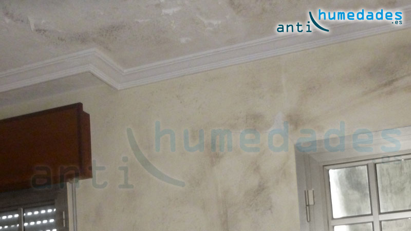 Las pinturas base cal impiden que el moho se reproduzca en la superficie de las paredes