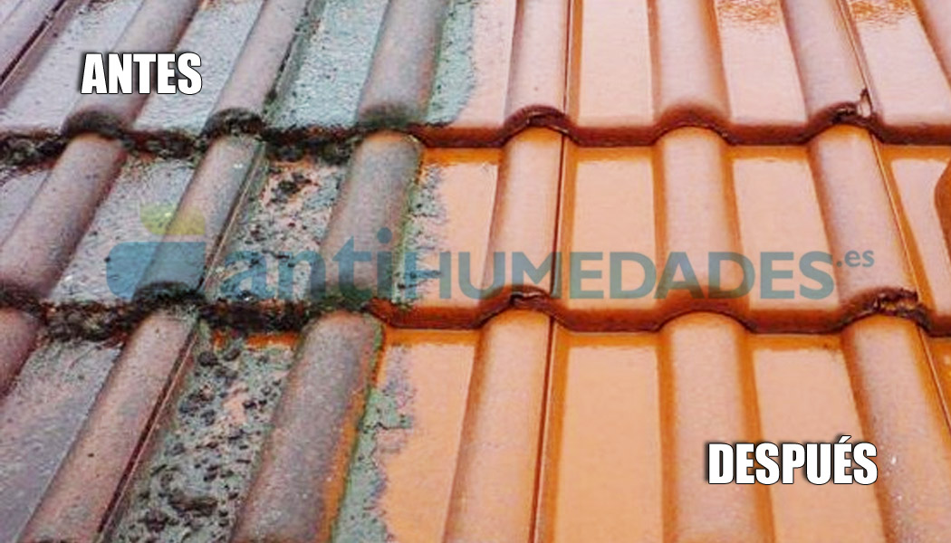 Limpiador tejados suelos y fachadas contra moho y verdin