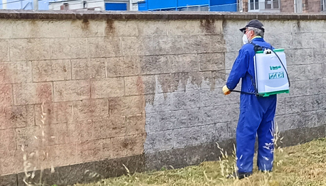 Limpiador listo al uso para muros, paredes, fachadas... fácil aplicación