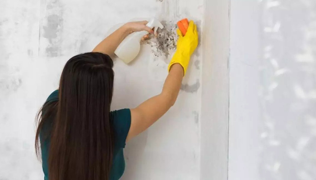 Limpiador humedades y desincrustante para manchas de moho y negruzcas