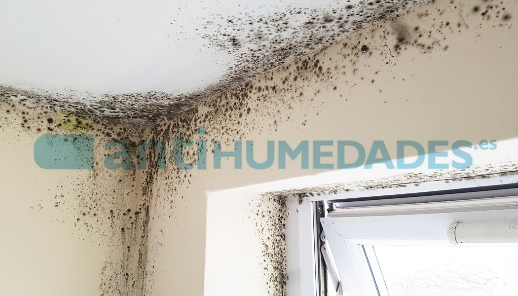 Manchas de moho provocadas por la elevada condensación en una vivienda que necesitan pintura antihumedad para interiores